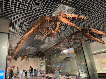 国立科学博物館に投稿された画像（2022/7/23）