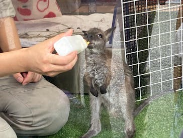 姫路セントラルパークに投稿された画像（2022/7/23）