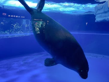 サンシャイン水族館に投稿された画像（2022/7/23）