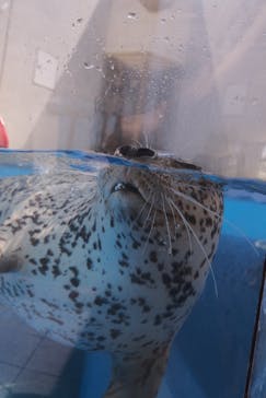 島根県立 しまね海洋館に投稿された画像（2022/7/23）
