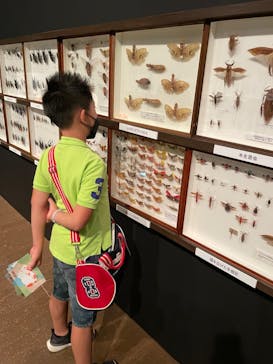 体感するファーブル昆虫展 NAGOYAに投稿された画像（2022/7/23）