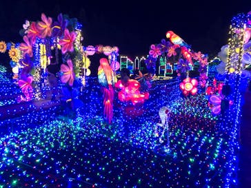 伊豆ぐらんぱる公園に投稿された画像（2022/7/23）