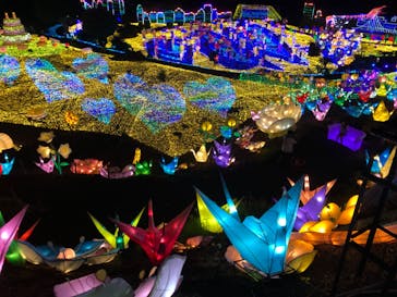 伊豆ぐらんぱる公園に投稿された画像（2022/7/23）