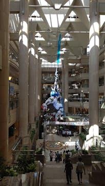 横浜ランドマークタワー 69階展望フロア スカイガーデンに投稿された画像（2022/7/23）