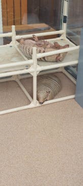 大分マリーンパレス水族館 「うみたまご」に投稿された画像（2022/7/23）