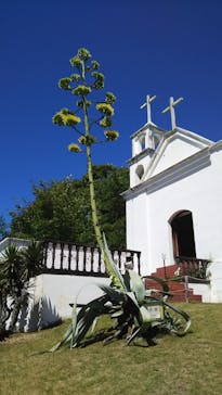 野外民族博物館 リトルワールドに投稿された画像（2022/7/23）