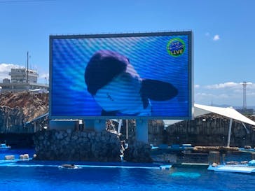 名古屋港水族館に投稿された画像（2022/7/23）