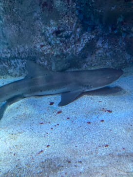 名古屋港水族館に投稿された画像（2022/7/23）