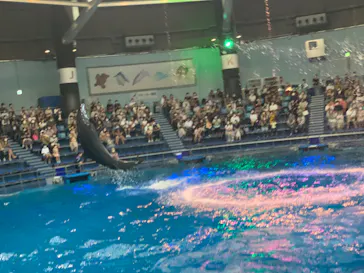 マクセル アクアパーク品川に投稿された画像（2022/7/23）