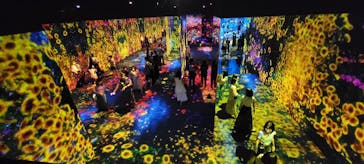 森ビル デジタルアート ミュージアム：エプソン チームラボボーダレスに投稿された画像（2022/7/23）