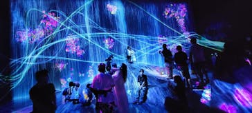 森ビル デジタルアート ミュージアム：エプソン チームラボボーダレスに投稿された画像（2022/7/23）