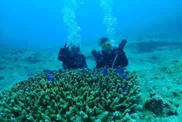 マリンズプロ宮古に投稿された画像（2022/7/23）