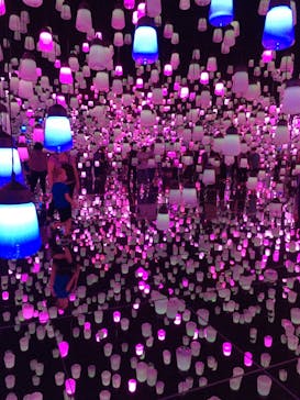 森ビル デジタルアート ミュージアム：エプソン チームラボボーダレスに投稿された画像（2022/7/23）