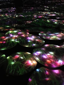 森ビル デジタルアート ミュージアム：エプソン チームラボボーダレスに投稿された画像（2022/7/23）