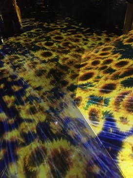 森ビル デジタルアート ミュージアム：エプソン チームラボボーダレスに投稿された画像（2022/7/23）