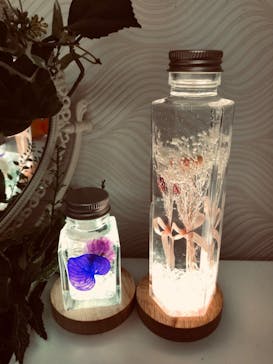 ずこうしつ〜sugamo〜に投稿された画像（2022/7/24）