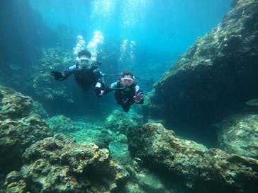 武藤潜水に投稿された画像（2022/7/24）