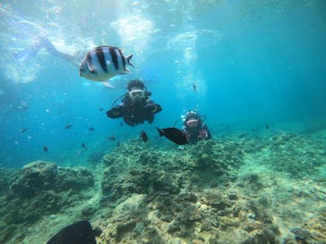 武藤潜水に投稿された画像（2022/7/24）