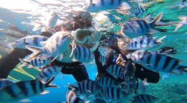 武藤潜水に投稿された画像（2022/7/24）