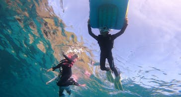 武藤潜水に投稿された画像（2022/7/24）