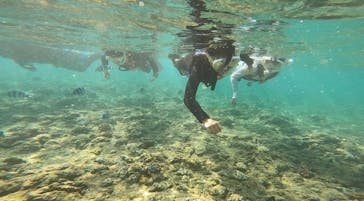 武藤潜水に投稿された画像（2022/7/24）