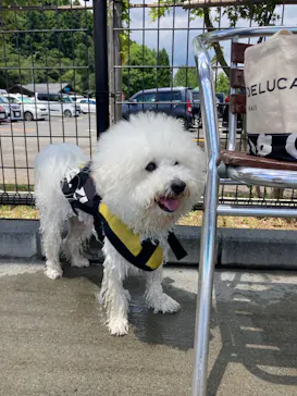 わんダフルネイチャーヴィレッジに投稿された画像（2022/7/24）