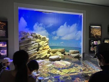名古屋港水族館に投稿された画像（2022/7/24）