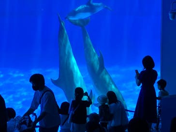 名古屋港水族館に投稿された画像（2022/7/24）