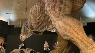 ひらかたパークに投稿された画像（2022/7/24）