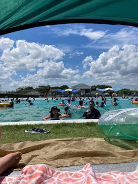 蓮沼ウォーターガーデンに投稿された画像（2022/7/24）