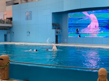 横浜・八景島シーパラダイスに投稿された画像（2022/7/24）