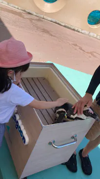 横浜・八景島シーパラダイスに投稿された画像（2022/7/24）