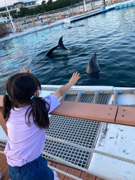 横浜・八景島シーパラダイスに投稿された画像（2022/7/24）