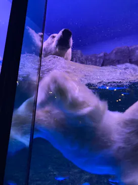 横浜・八景島シーパラダイスに投稿された画像（2022/7/24）