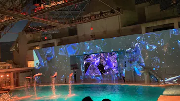 横浜・八景島シーパラダイスに投稿された画像（2022/7/24）