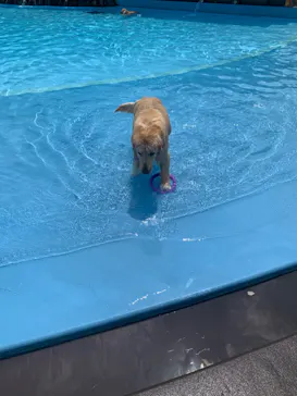 わんダフルネイチャーヴィレッジに投稿された画像（2022/7/24）