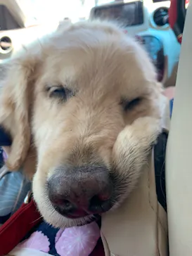 わんダフルネイチャーヴィレッジに投稿された画像（2022/7/24）