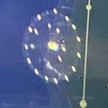 九十九島水族館海きららに投稿された画像（2022/7/24）