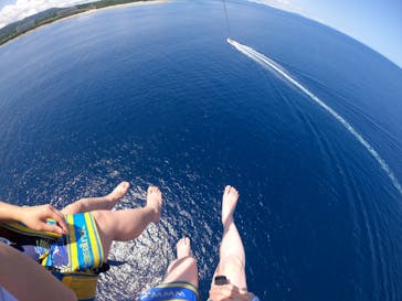 Sea World（シーワールド）に投稿された画像（2022/7/24）