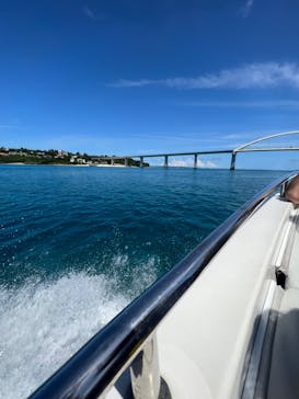 Sea World（シーワールド）に投稿された画像（2022/7/24）