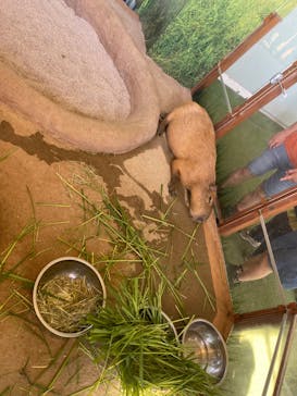 新江ノ島水族館に投稿された画像（2022/7/24）