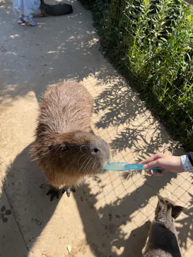 横浜・八景島シーパラダイスに投稿された画像（2022/7/24）