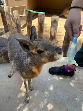 横浜・八景島シーパラダイスに投稿された画像（2022/7/24）