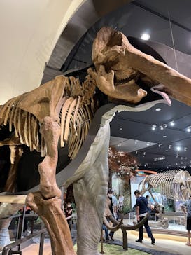 滋賀県立琵琶湖博物館に投稿された画像（2022/7/24）