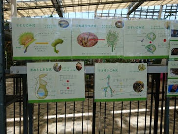 安城産業文化公園デンパークに投稿された画像（2022/7/24）