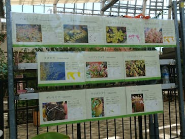 安城産業文化公園デンパークに投稿された画像（2022/7/24）