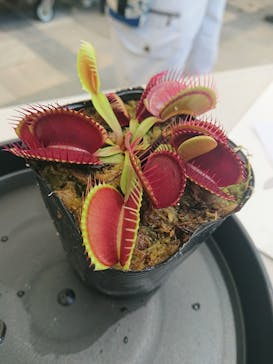 安城産業文化公園デンパークに投稿された画像（2022/7/24）