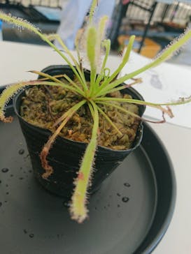 安城産業文化公園デンパークに投稿された画像（2022/7/24）