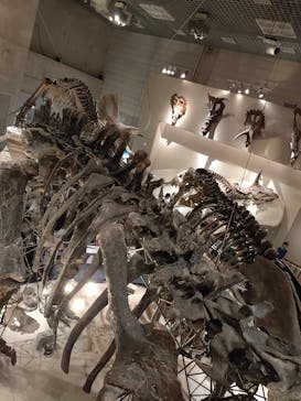 国立科学博物館に投稿された画像（2022/7/24）