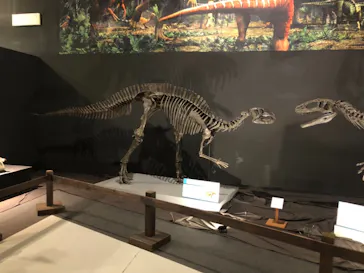 ひらかたパークに投稿された画像（2022/7/24）